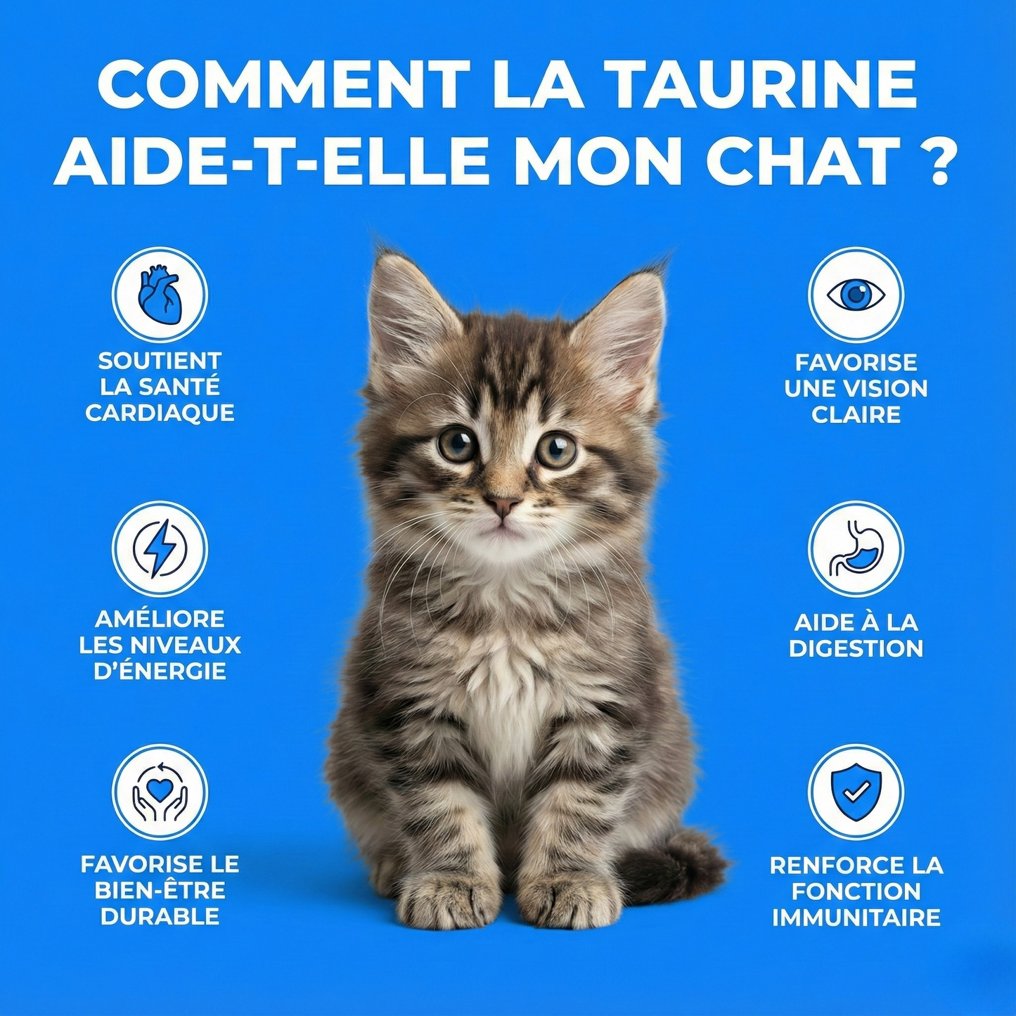 PureTaurine+ - N°1 Recommandé par les Vétérinaires