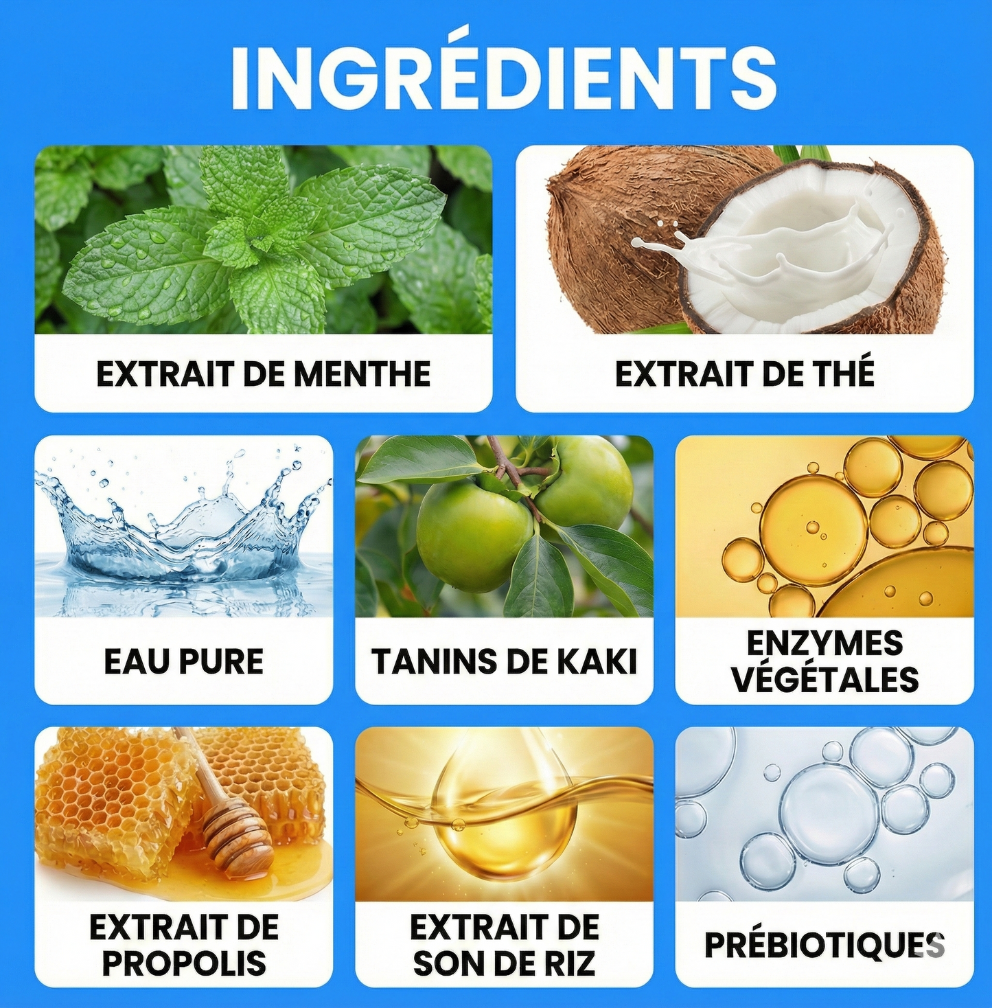 Orale+ - Solution Chat Hygiène Buccale