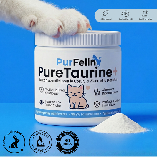 PureTaurine+ - N°1 Recommandé par les Vétérinaires