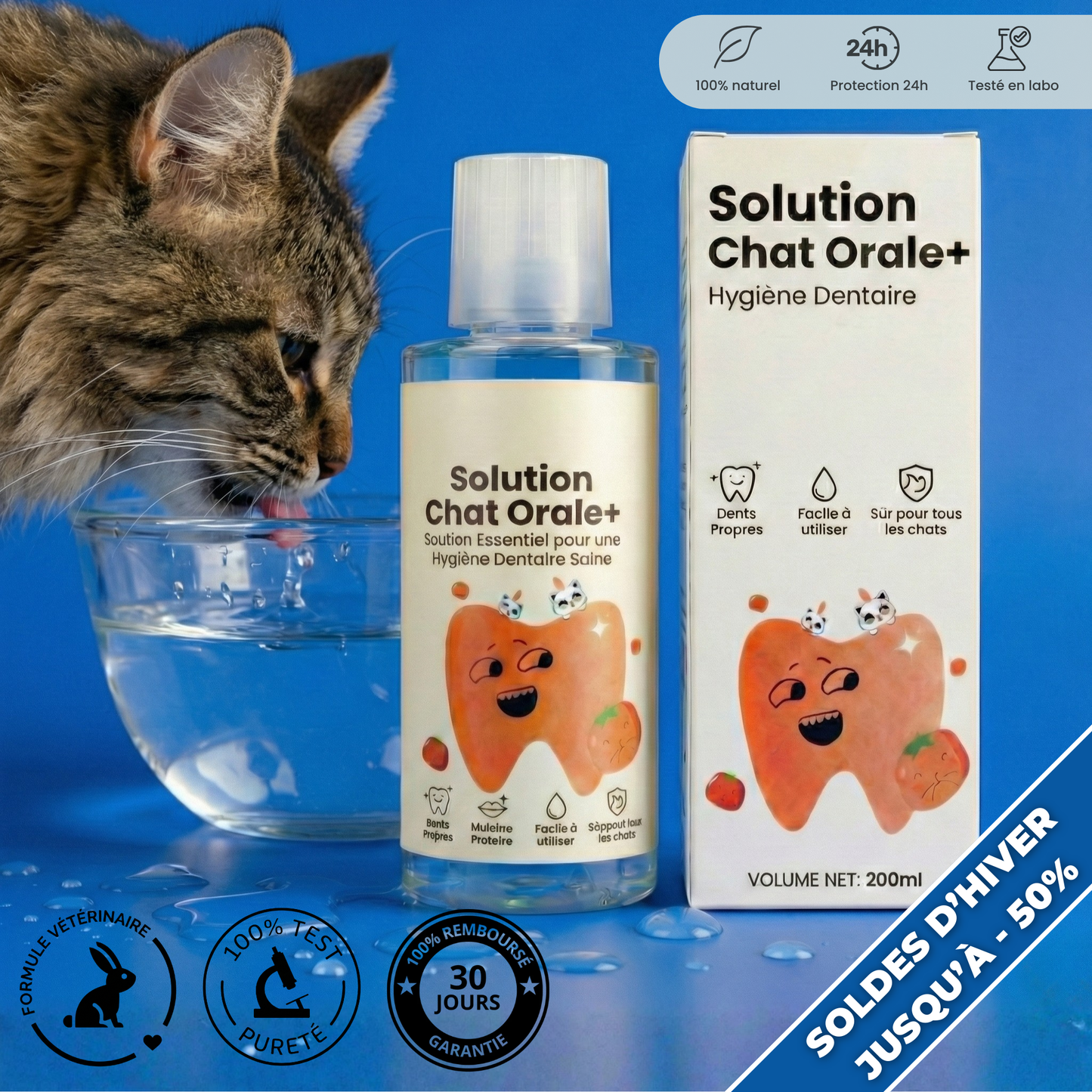 Orale+ - Solution Chat Hygiène Buccale