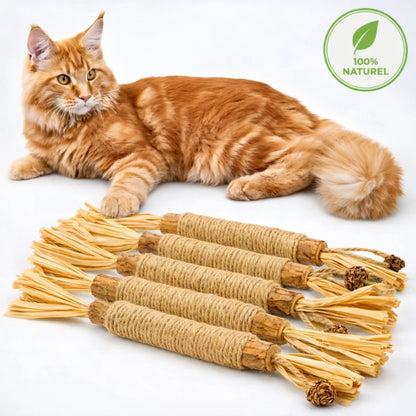 3x Bâtonnets à mâcher pour soins dentaires